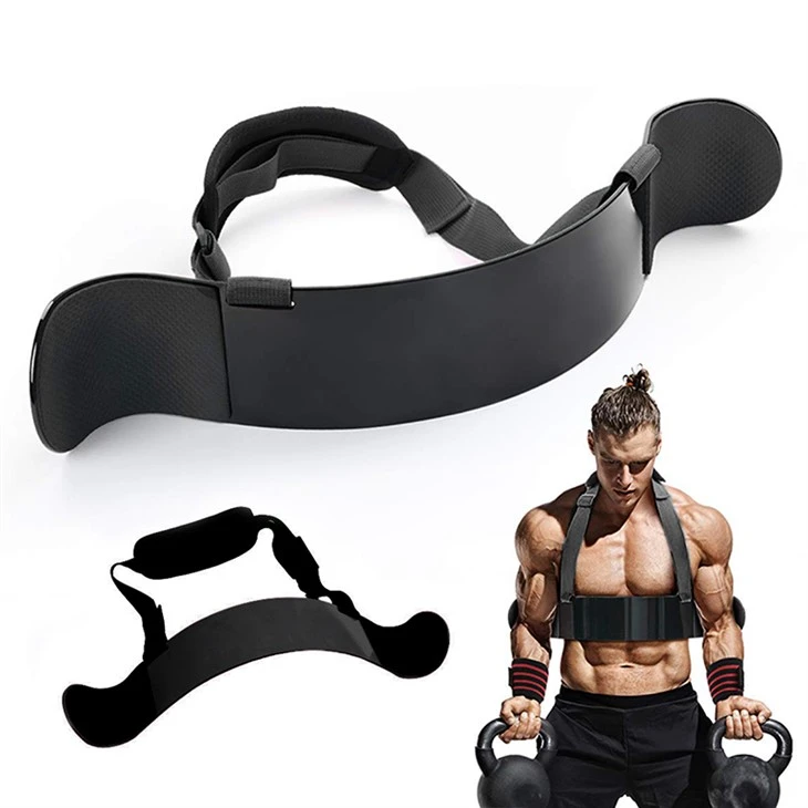 Bodybuilding Biceps Training Machine